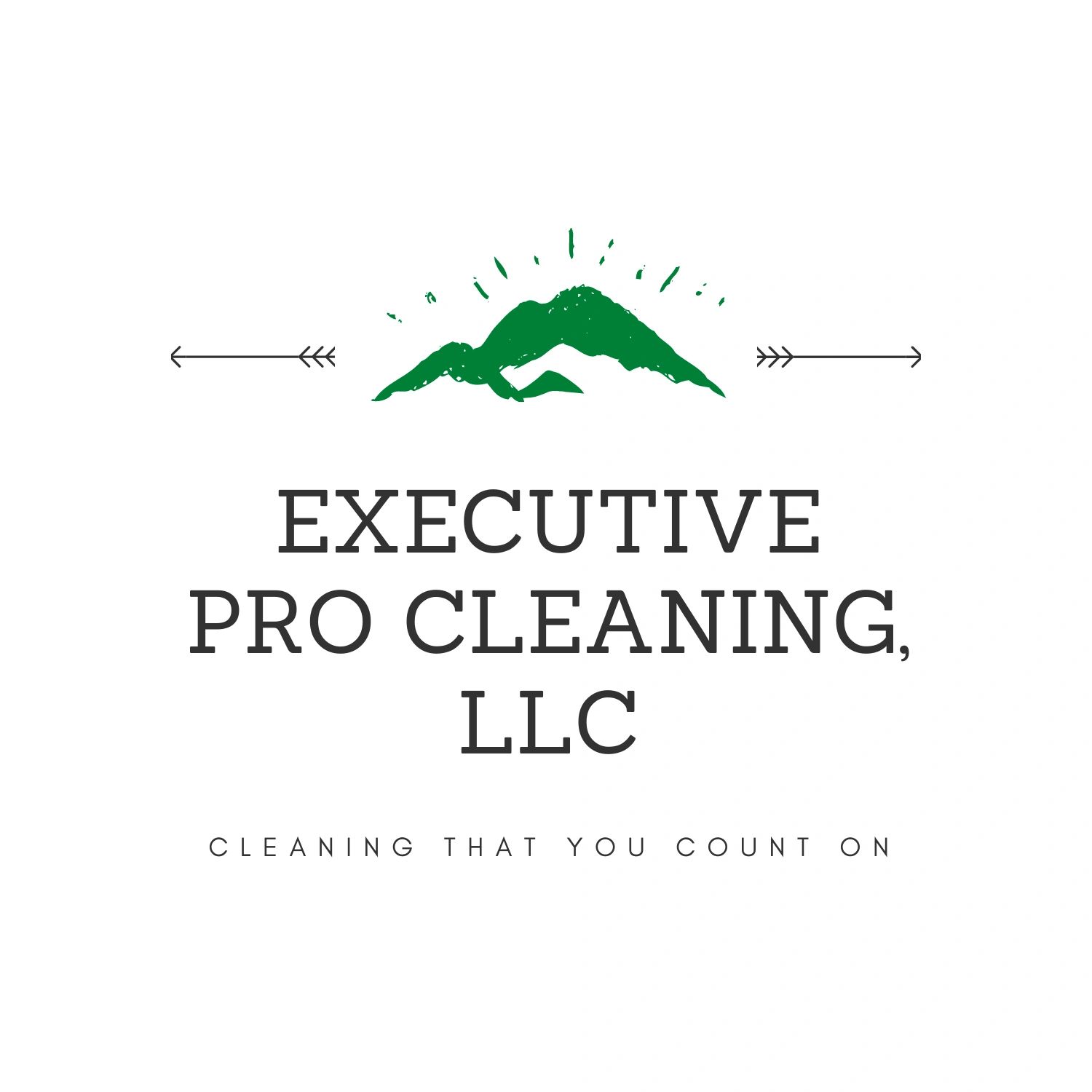 Executive cleaning 2024